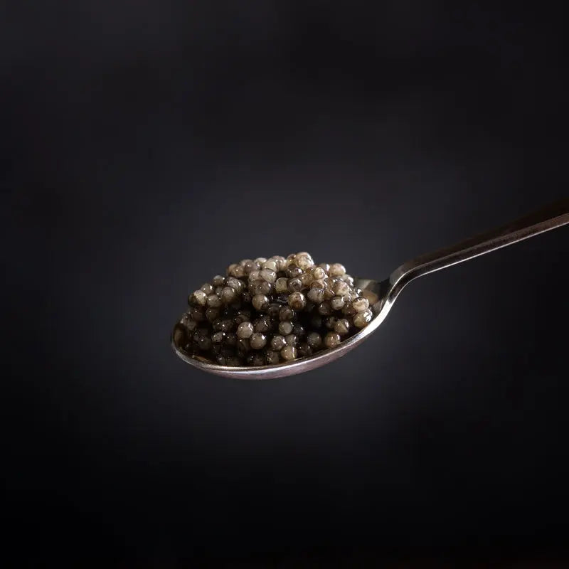 Unveiling the Elegance of White Sturgeon Caviar