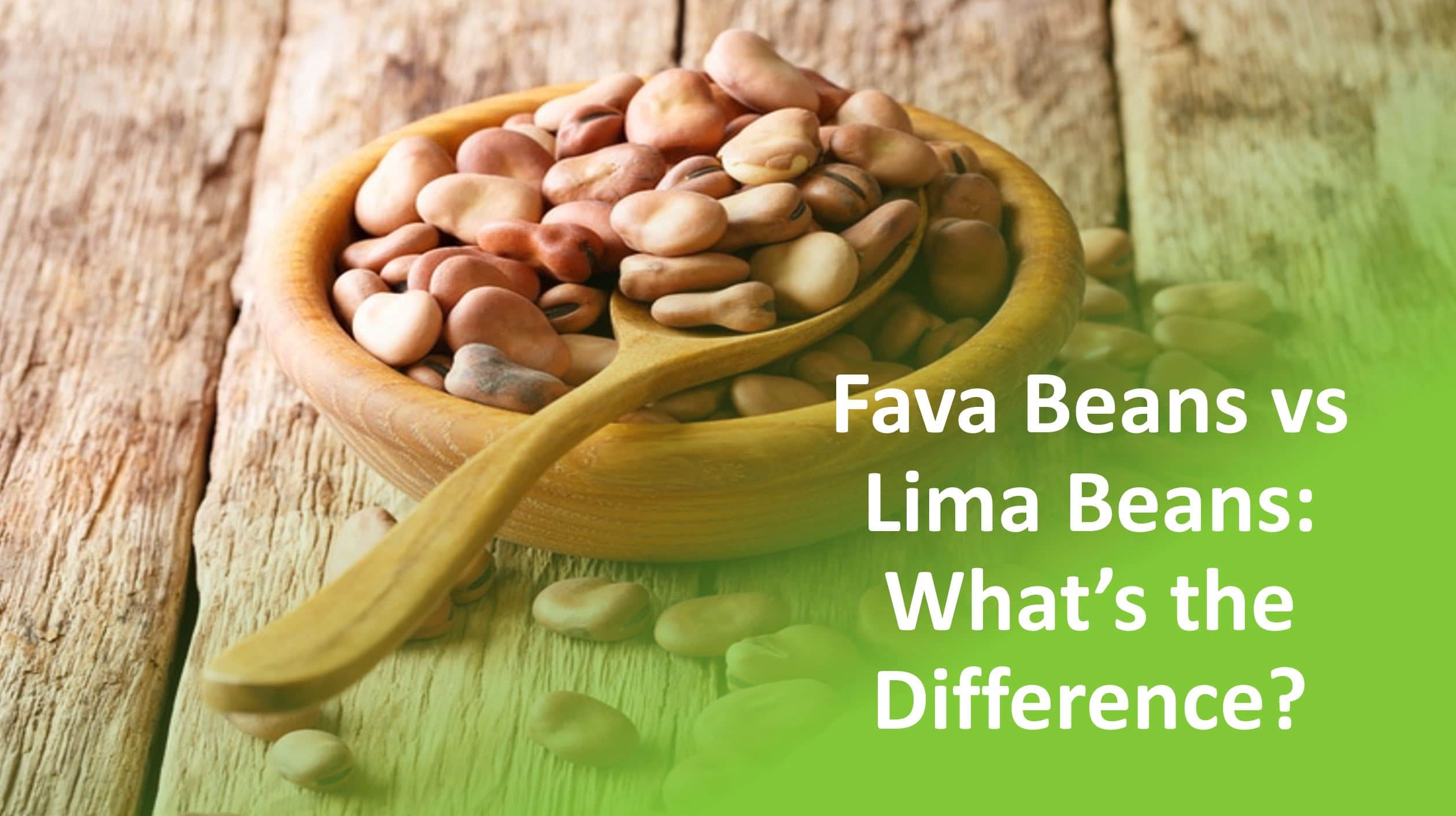 Lima Beans vs Fava Beans: Legumes Showdown